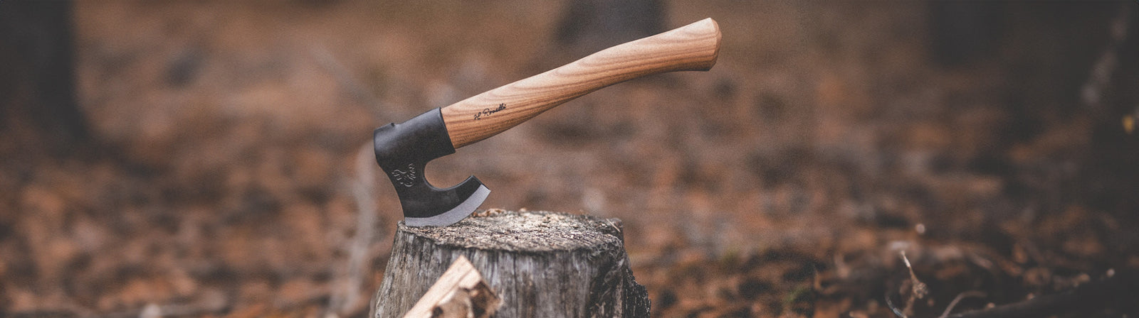 Short Axe Roselli